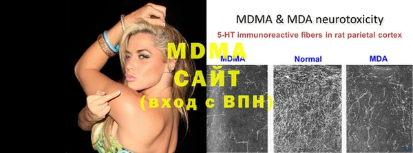 сатива Белокуриха