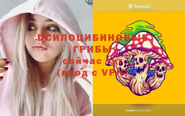сатива Белокуриха
